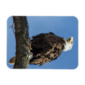 Magnet Flexible Recherche (Horizontal)