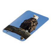 Magnet Flexible Recherche (Côté Gauche)