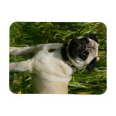 Magnet Flexible Recherche de carlin sur caméra (Horizontal)