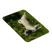 Magnet Flexible Recherche de carlin sur caméra (Côté Droit)