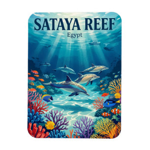 Magnet Flexible Récif de Sataya Egypte