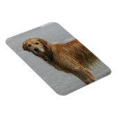 Magnet Flexible Récipiendaire doré en mer (Côté Droit)