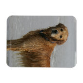 Magnet Flexible Récipiendaire doré en mer (Horizontal)