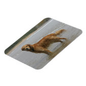 Magnet Flexible Récipiendaire doré en mer (Côté Gauche)