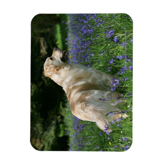 Magnet Flexible Récipiendaire en or en fleurs (Vertical)