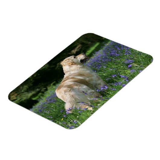 Magnet Flexible Récipiendaire en or en fleurs (Côté Gauche)