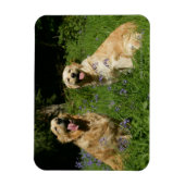 Magnet Flexible Récipiendaires en or en herbe (Vertical)