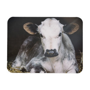 Magnet Flexible Récolte de jour occupée