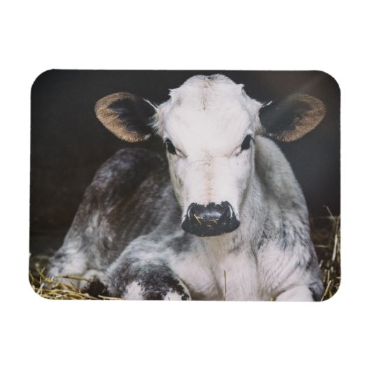 Magnet Flexible Récolte de jour occupée (Horizontal)