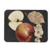 Magnet Flexible Récolte de minuit II (Horizontal)