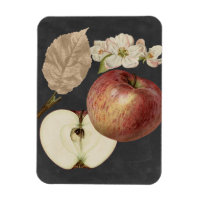 Récolte de minuit II