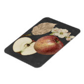 Magnet Flexible Récolte de minuit II (Côté Gauche)