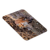 Magnet Flexible Red Fox de près et personnel (Côté Droit)