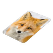 Magnet Flexible Red Fox Portrait (Côté Gauche)