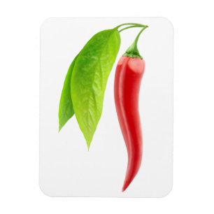 Magnet Flexible Red hot chili pepper