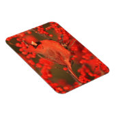 Magnet Flexible Red Northern Cardinal (Côté Droit)