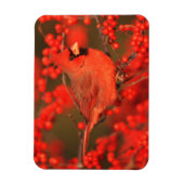 Magnet Flexible Red Northern Cardinal (Vertical)