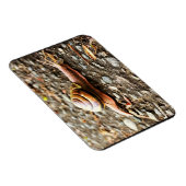 Magnet Flexible Red Snail on the Ground (Côté Droit)