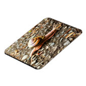 Magnet Flexible Red Snail on the Ground (Côté Gauche)