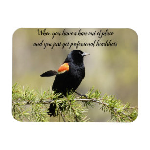 Magnet Flexible Red Winged BlackBird -Mauvais texte de jour de che