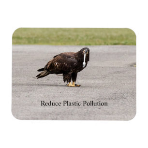 Magnet Flexible Réduire La Pollution Plastique