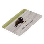 Magnet Flexible Réduire La Pollution Plastique (Côté Gauche)