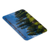 Magnet Flexible Redwood National Park Grove Tall Trees (Côté Droit)