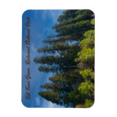 Magnet Flexible Redwood National Park Grove Tall Trees (Vertical)