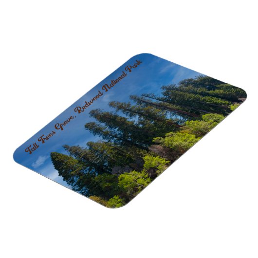 Magnet Flexible Redwood National Park Grove Tall Trees (Côté Gauche)