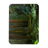 Magnet Flexible Redwoods Dans Le Parc National De Muir Woods (Vertical)