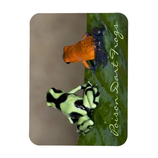 Magnet Flexible Réfléchir à la situation (Vertical)