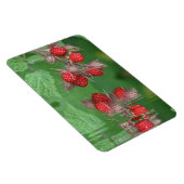 Magnet Flexible Réflexions de framboise (Côté Droit)