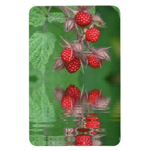 Magnet Flexible Réflexions de framboise (Vertical)