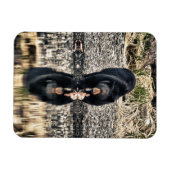 Magnet Flexible Réflexions de l'ours noir (Horizontal)