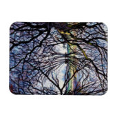 Magnet Flexible Réflexions sur les étangs 2009 (Horizontal)