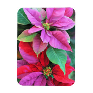Magnet Flexible Réfrigérateur Aimant rose et rouge Poinsettias
