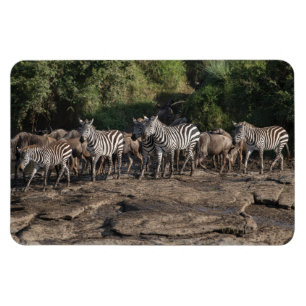 Magnet Flexible Réfrigérateur Aimant VOTRE Modèle photo 4 x 6