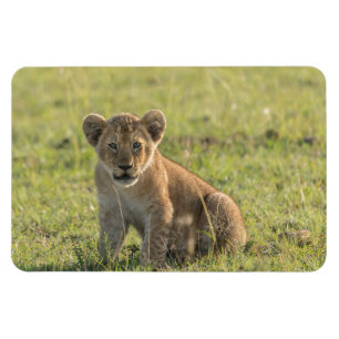 Magnet Flexible Réfrigérateur Aimant VOTRE Modèle photo 4 x 6