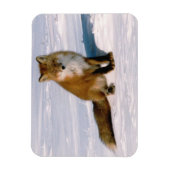 Magnet Flexible Réfrigérateur flexible Red Arctic Winter Fox (Vertical)