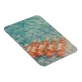 Magnet Flexible Refroidissement des vins 2010 (Côté Droit)