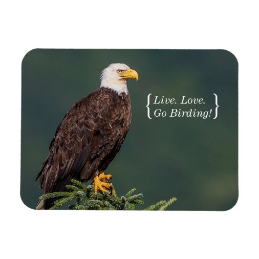 Magnet Flexible Regal Bald Eagle (Horizontal)