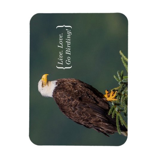 Magnet Flexible Regal Bald Eagle (Vertical)