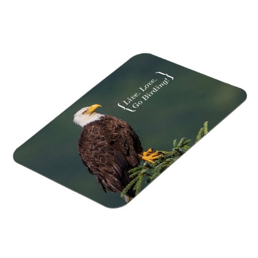Magnet Flexible Regal Bald Eagle (Côté Gauche)