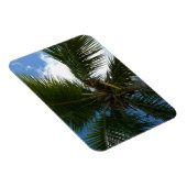 Magnet Flexible Regard sur le palmier à coco Nature tropicale (Côté Droit)