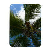 Magnet Flexible Regard sur le palmier à coco Nature tropicale (Vertical)