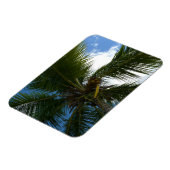 Magnet Flexible Regard sur le palmier à coco Nature tropicale (Côté Gauche)