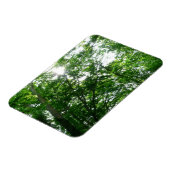 Magnet Flexible Regard sur les arbres d'été (Côté Gauche)