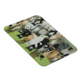 Magnet Flexible Regardez la Birdie (Côté Droit)