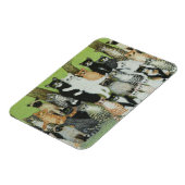 Magnet Flexible Regardez la Birdie (Côté Gauche)