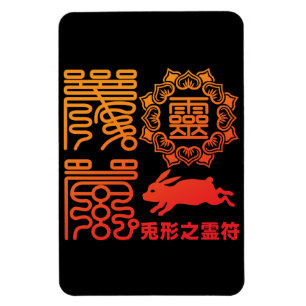 Magnet Flexible Reifu2